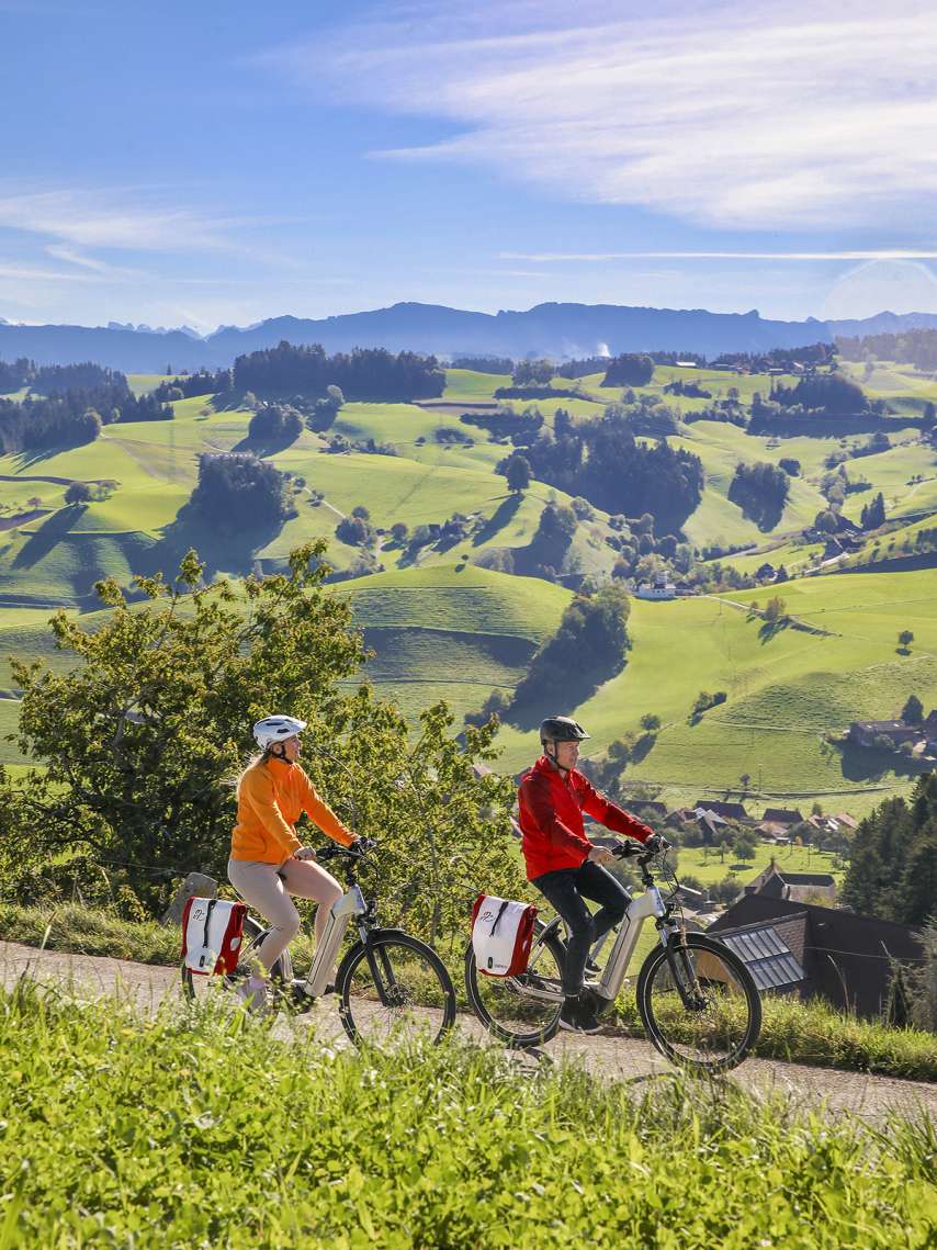 Herzschlaufe Gotthelf Herzschlaufe Gotthelf