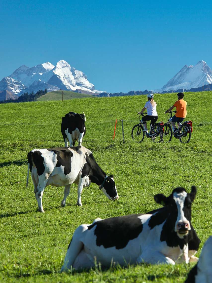Herzschlaufe Langnau Herzschlaufe Langnau