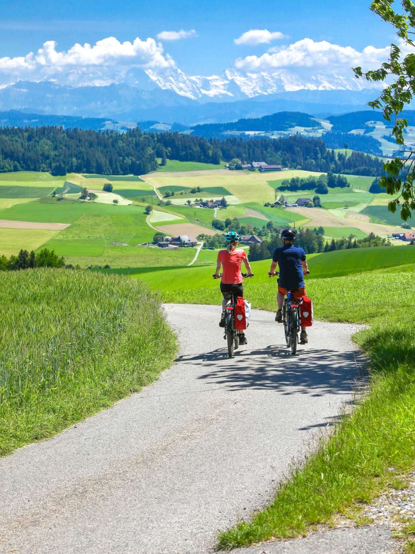 Dr gross Sumiswauder Dr gross Sumiswauder